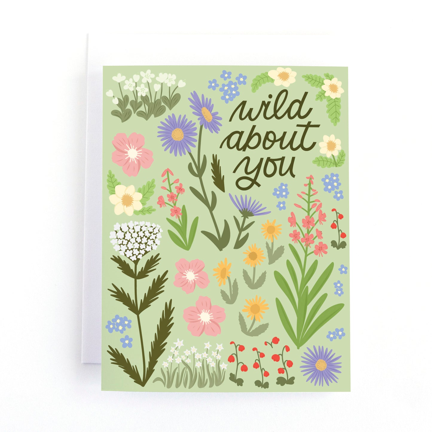 Mountain wildflower themed Love card with the text Wild about you surrounded by hand drawn wild flower illustrations.