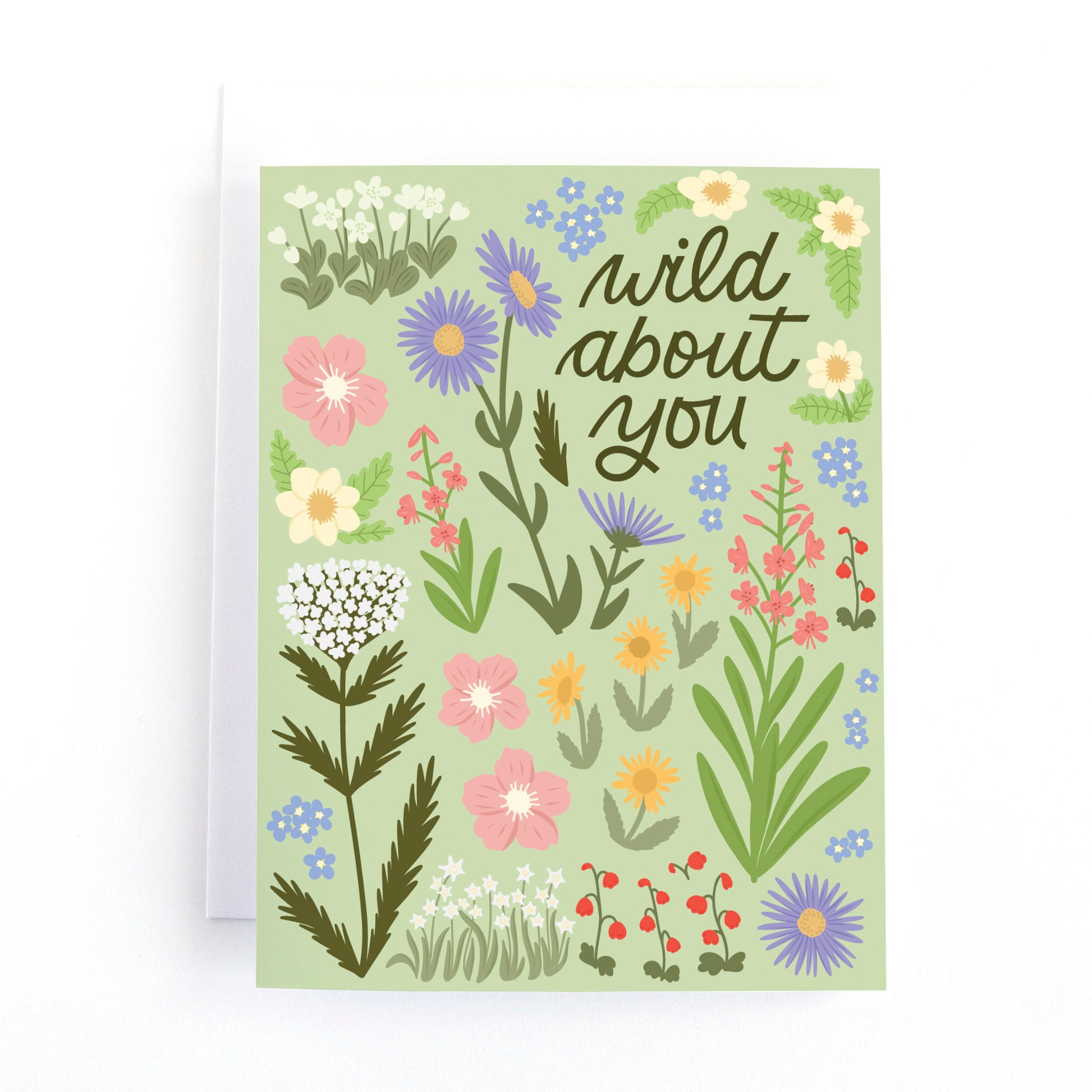 Mountain wildflower themed Love card with the text Wild about you surrounded by hand drawn wild flower illustrations.