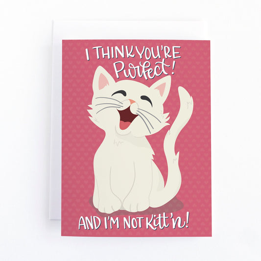 A pink friendship greeting card with a white cat and playful and pun filled wording. Perfect card for cat lovers