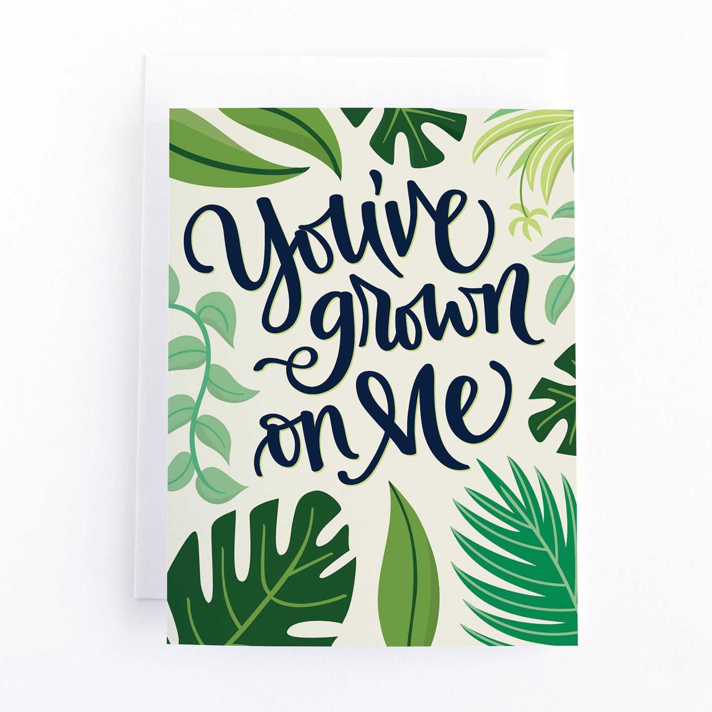 Love and Anniversary card with illustrations of houseplants and the text, you've grown on me.